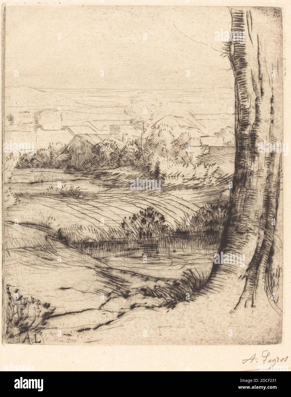 Alphonse Legros Artist French 17 1911 View Of Reeds Coin De Roseau Drypoint Stock Photo Alamy Alphonse Legros Artist French 17 1911 View Of Reeds Coin De Roseau Drypoint Stock Photo Alamy