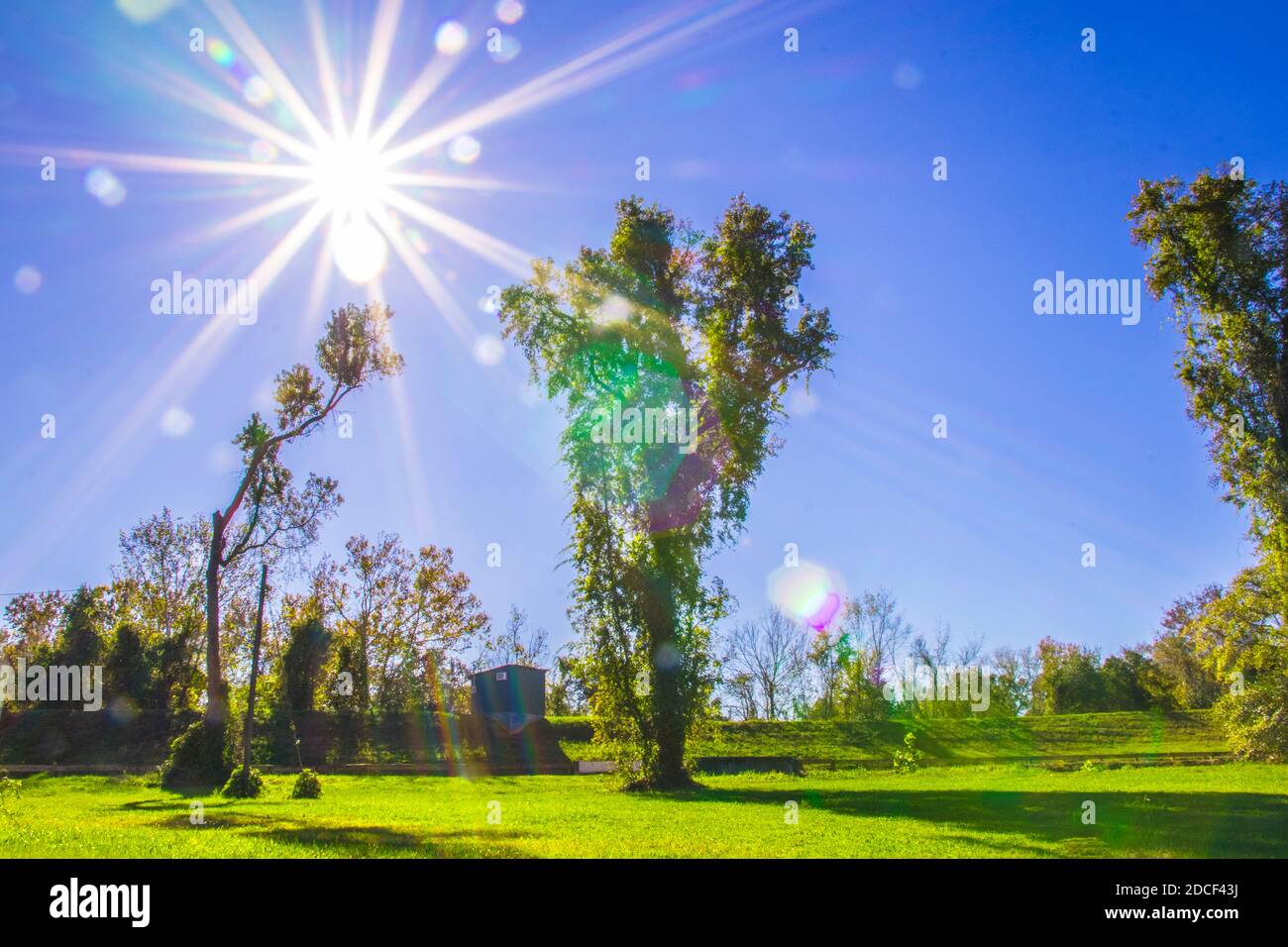 Green grass background sun beams hi-res stock photography and images ...