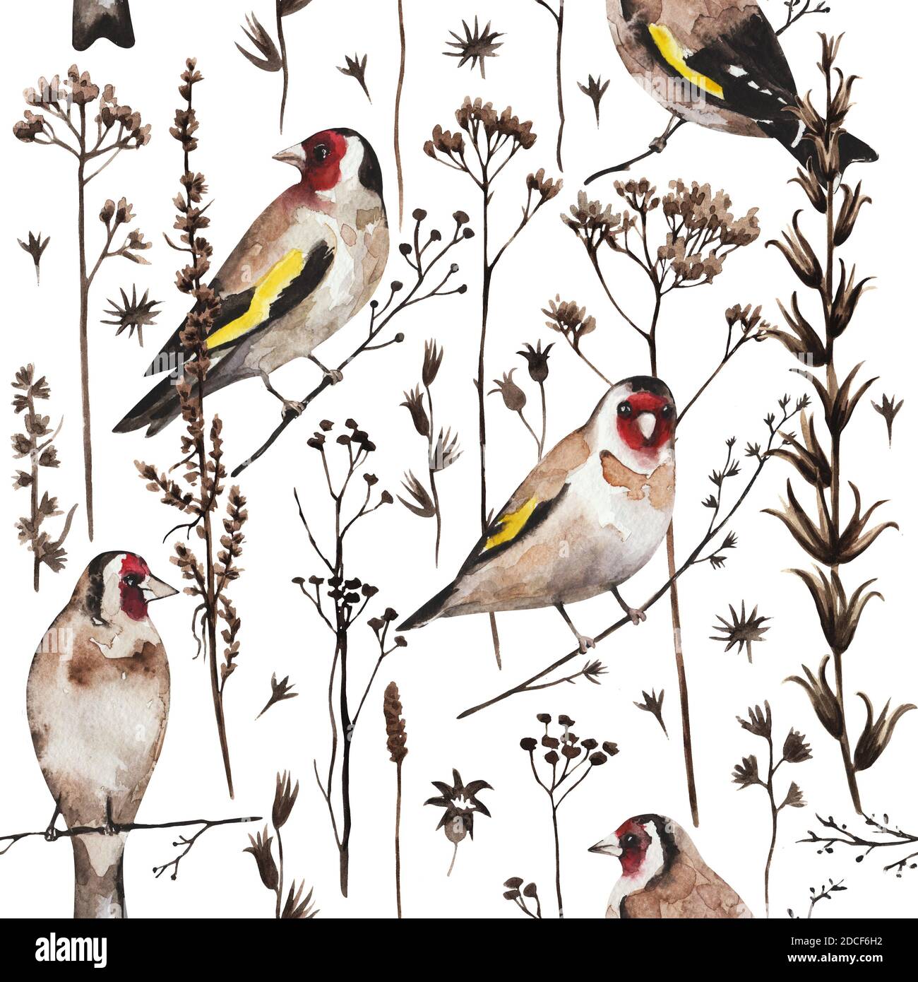 Seamless vintage pattern with goldfinch birds and autumn dry plants and flowers. Watercolor painting Stock Photo