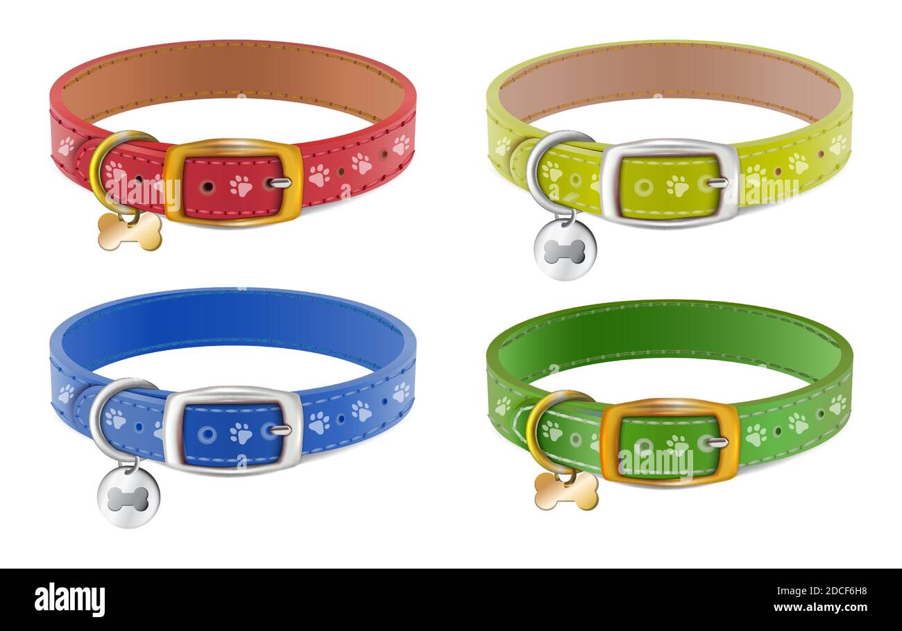 Cat on walk in Stock Vector Images Alamy