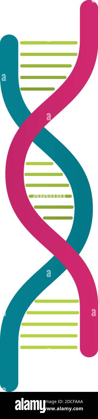 dna molecule structure isolated icon vector illustration design Stock ...