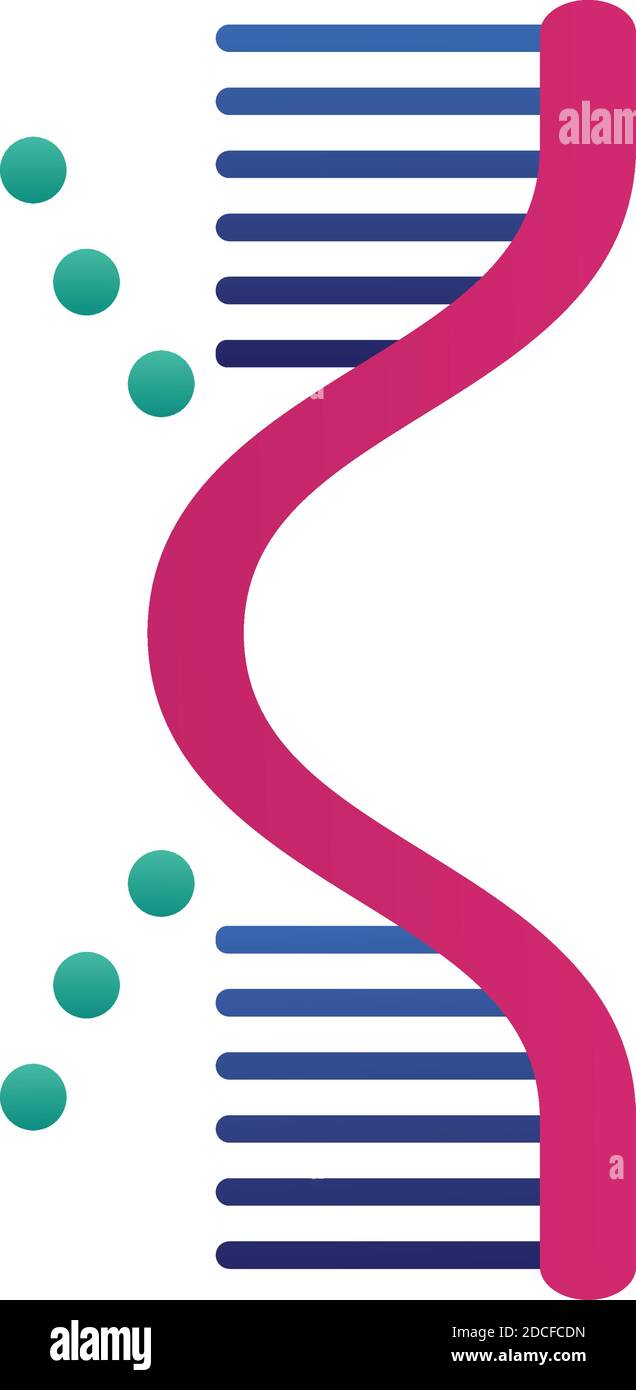 dna molecule structure isolated icon vector illustration design Stock ...