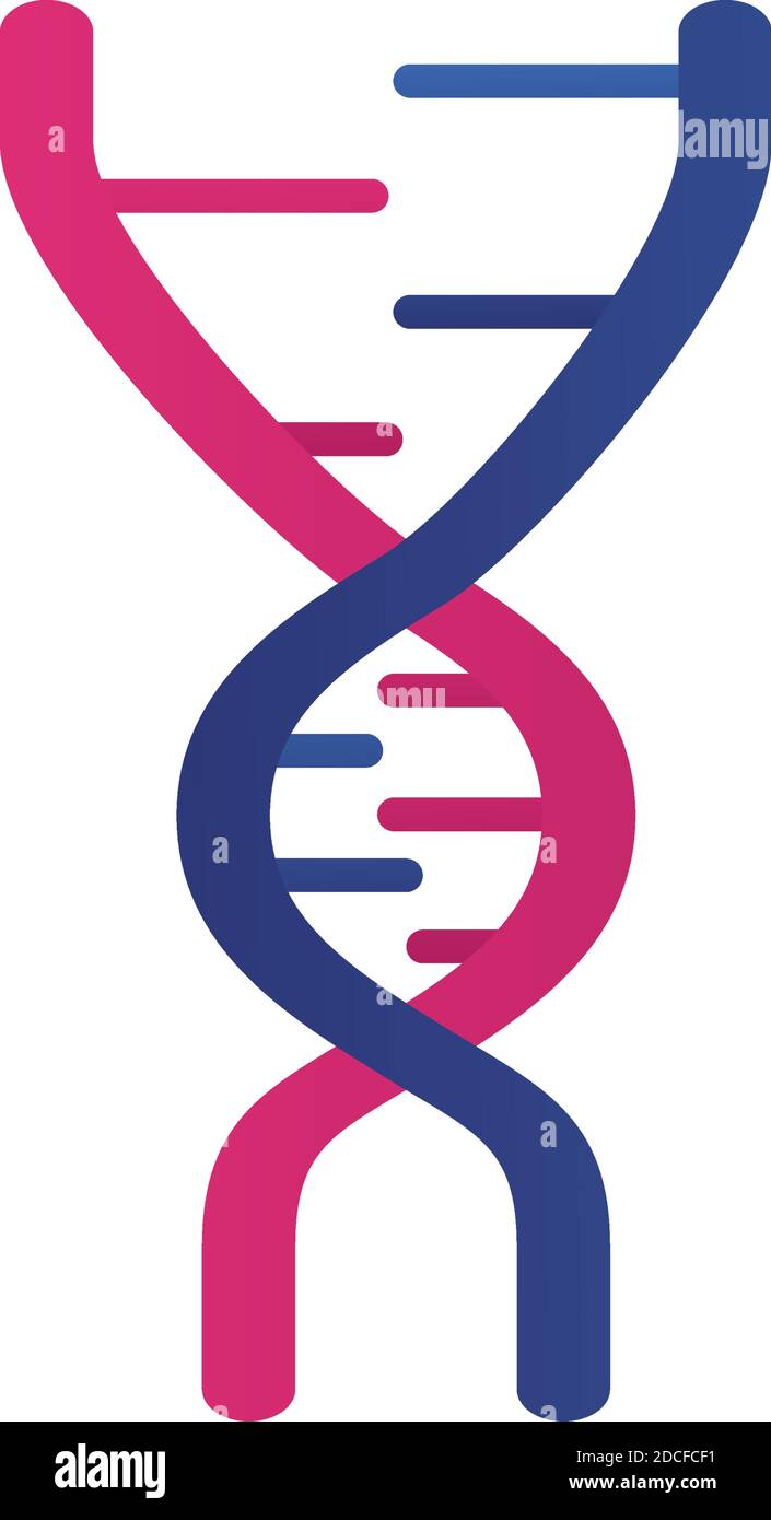dna molecule structure isolated icon vector illustration design Stock ...