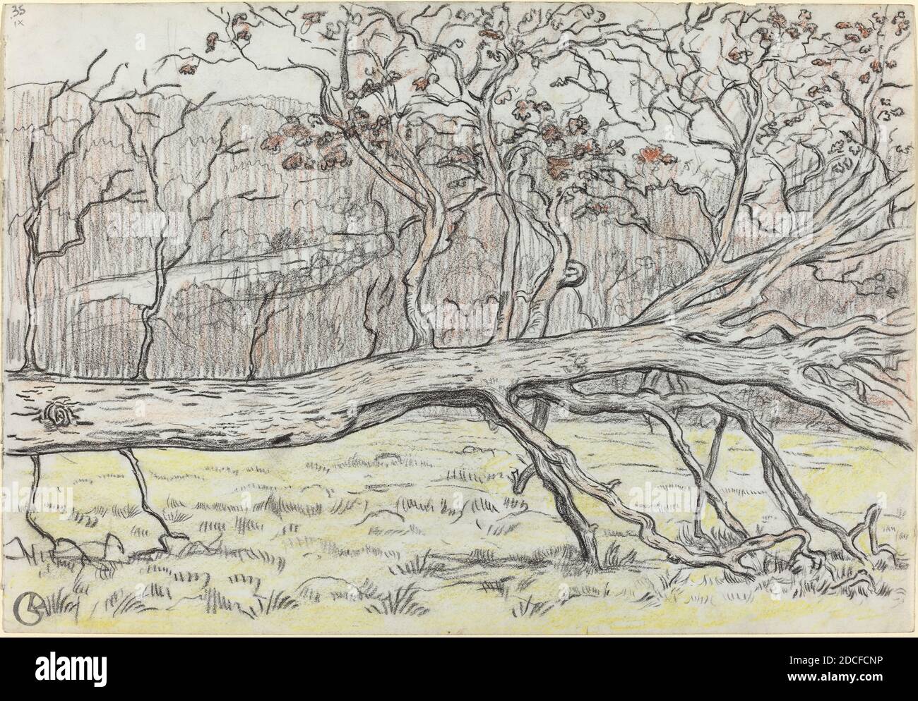 Georges Lacombe, (artist), French, 1868 - 1916, Felled Tree, Normandy, 1898, charcoal with red-brown and yellow crayon, overall: 30.8 x 44.7 cm (12 1/8 x 17 5/8 in Stock Photo