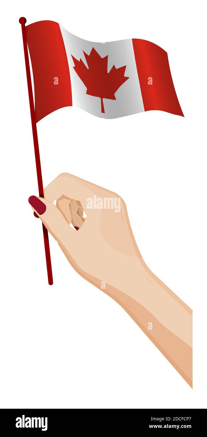 Female hand gently holds small Flag of Canada. Holiday design element. Cartoon vector on white background Stock Vector