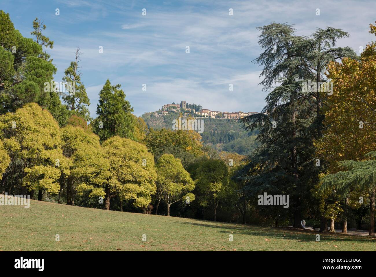 The view of the hill with the houses of Montecatini Alto through the high trees of the park of Montecatini Terme, Tuscany, Italy Stock Photo