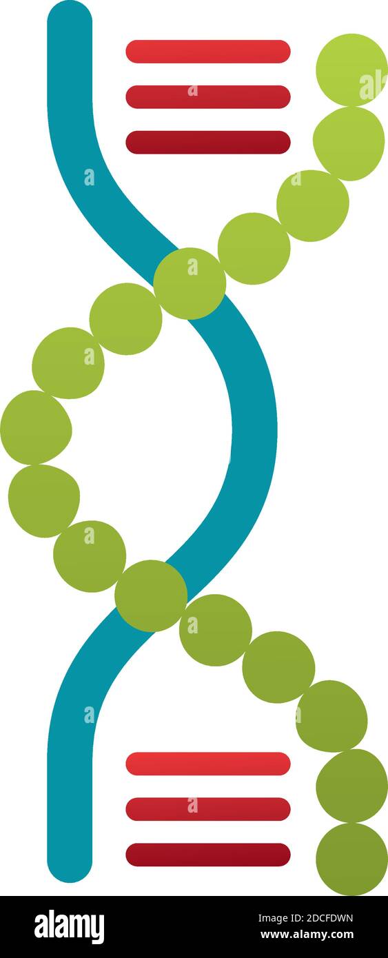 dna molecule structure isolated icon vector illustration design Stock ...