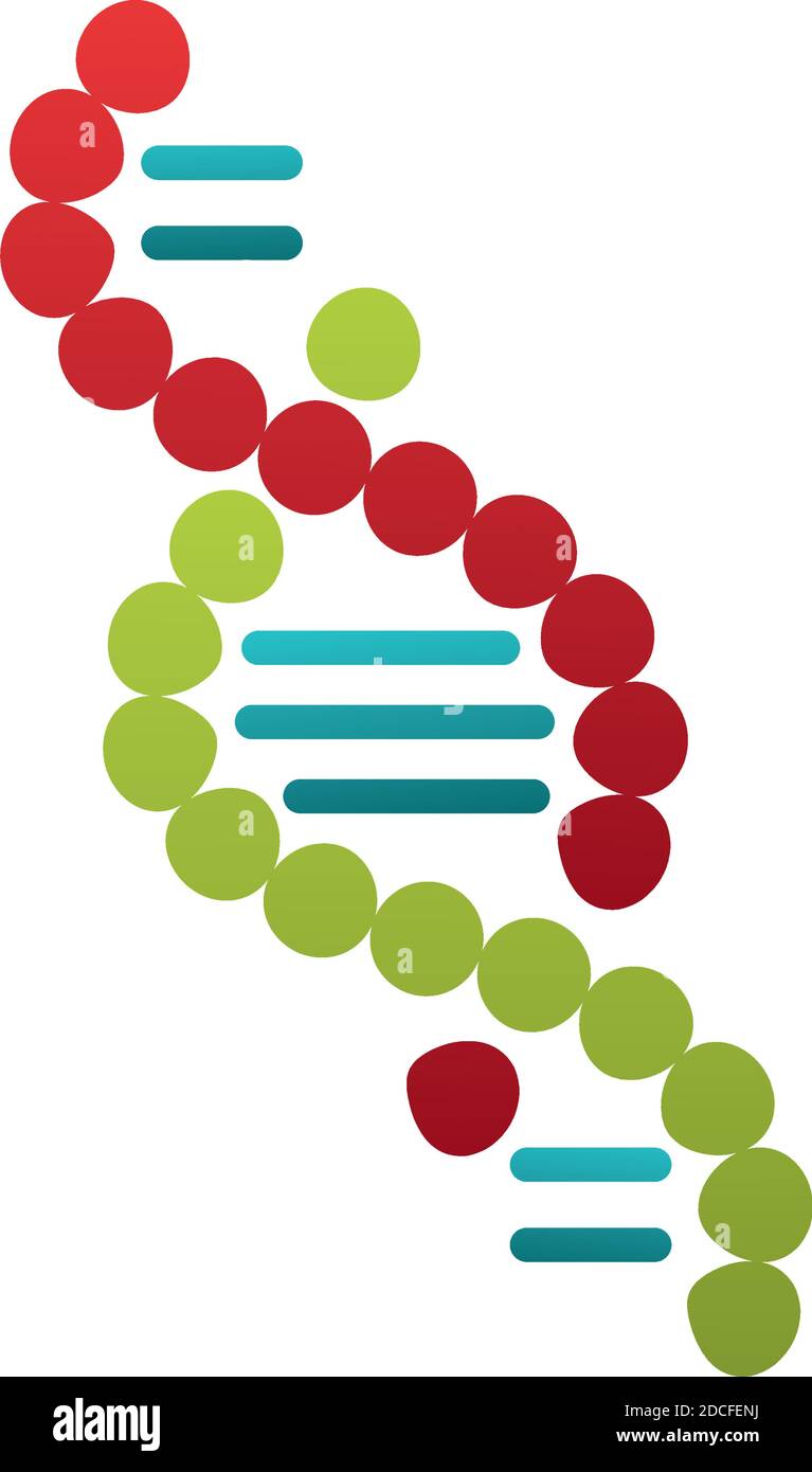 dna molecule structure isolated icon vector illustration design Stock ...