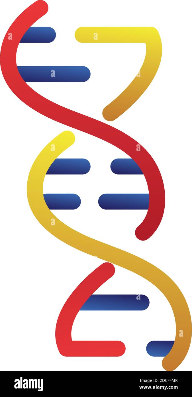 dna molecule structure isolated icon vector illustration design Stock ...