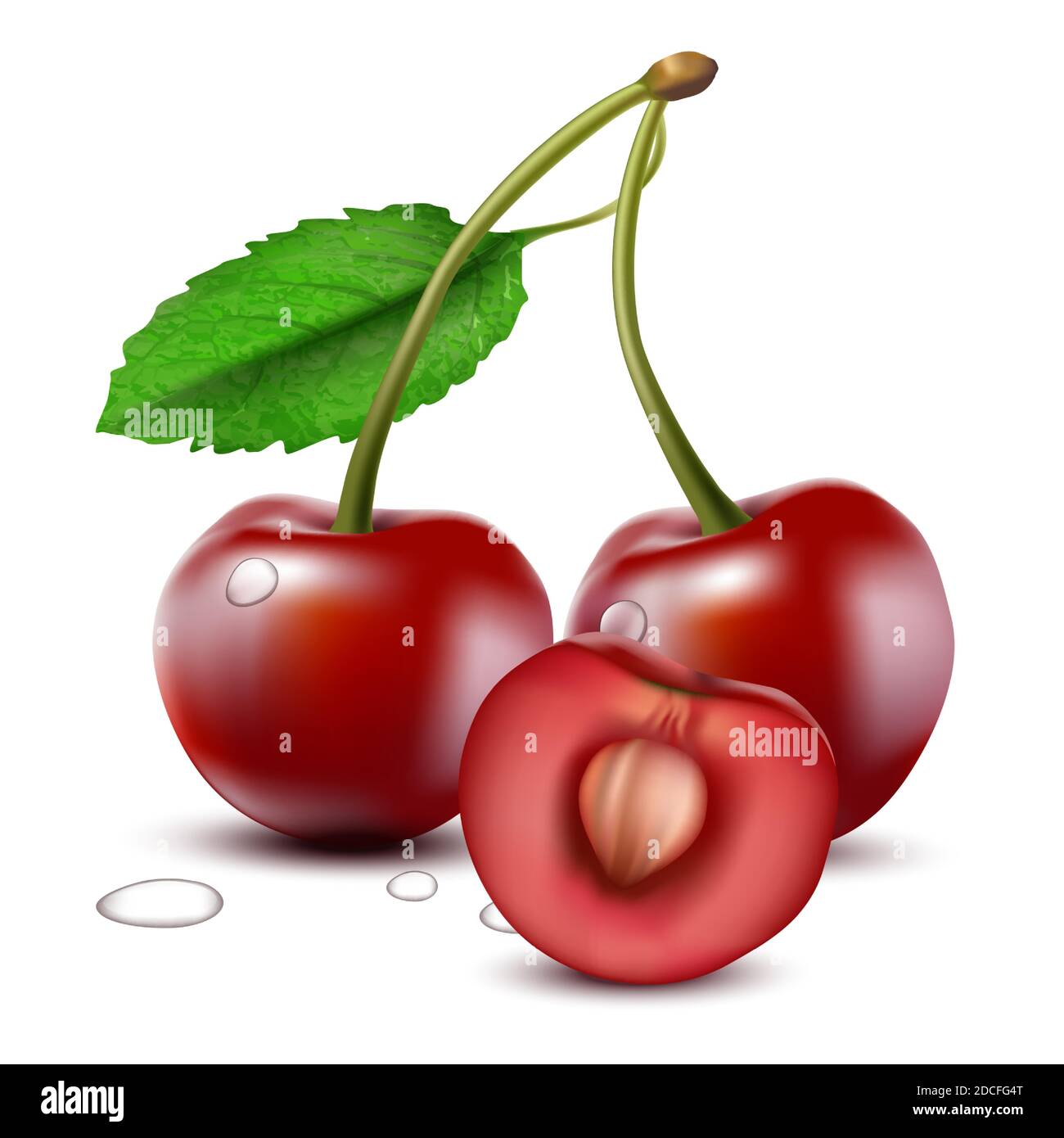3d realistic vector cherry with half cherry with seed. Isolated on white background. Stock Vector