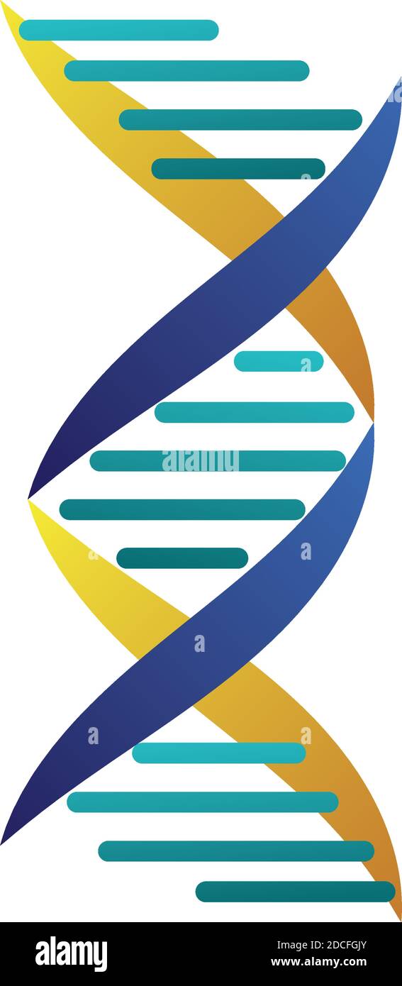dna molecule structure isolated icon vector illustration design Stock ...