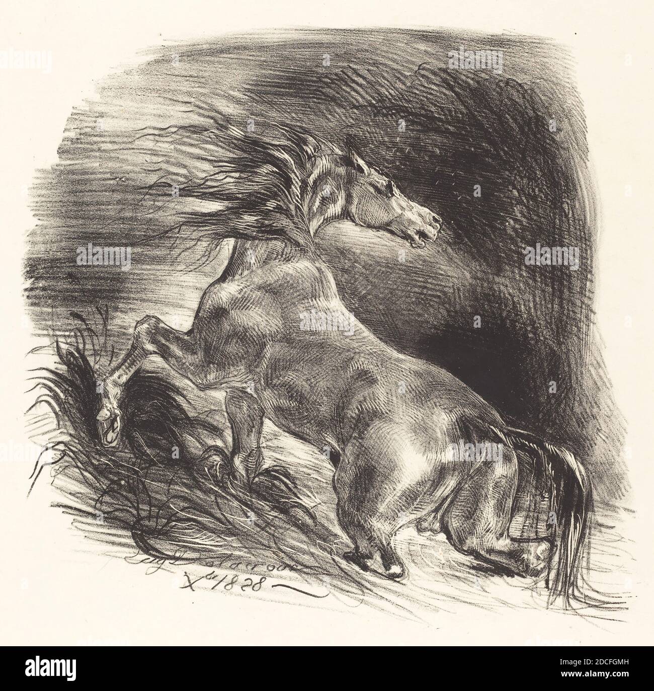 Eugène Delacroix, (artist), French, 1798 - 1863, Wild Horse Coming out of the Water (Cheval sauvage), 1828, lithograph, sheet: 47.3 x 35.2 cm (18 5/8 x 13 7/8 in Stock Photo