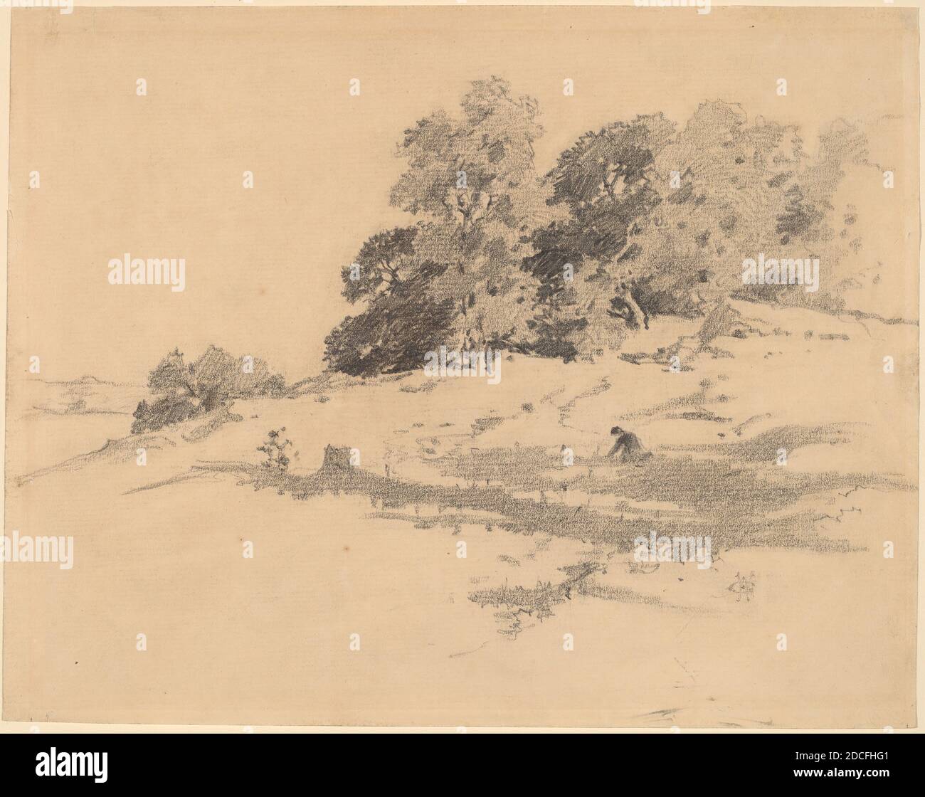 William Hamilton Gibson, (artist), American, 1850 - 1896, Landscape near Washington, Connecticut, graphite on laid paper, sheet: 19.9 × 25.2 cm (7 13/16 × 9 15/16 in Stock Photo
