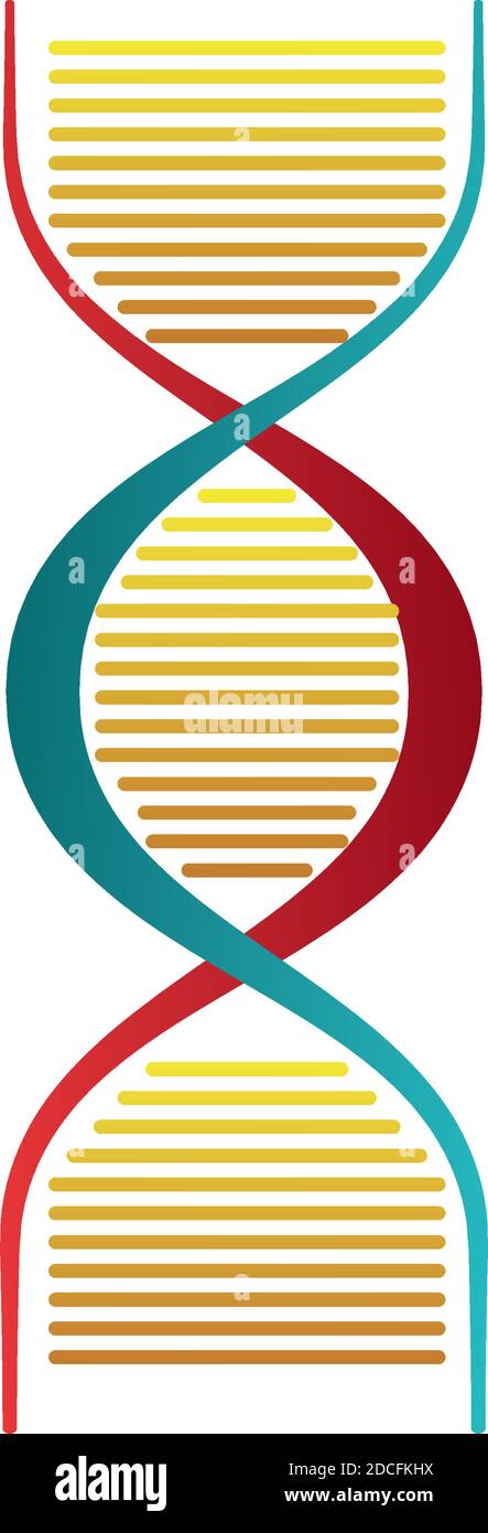 dna molecule structure isolated icon vector illustration design Stock ...