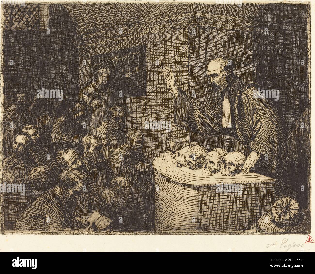 Phrenologie High Resolution Stock Photography And Images Alamy