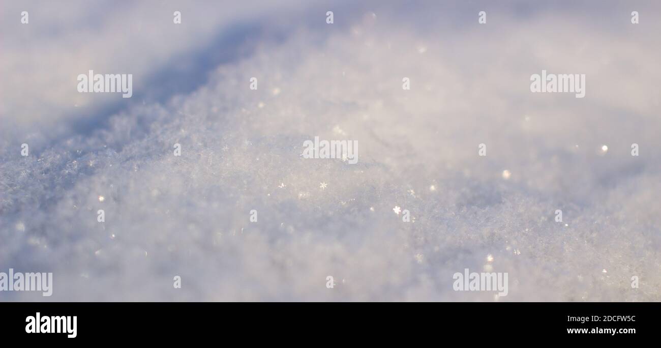 Clean, white snow close up. Winter background Stock Photo - Alamy