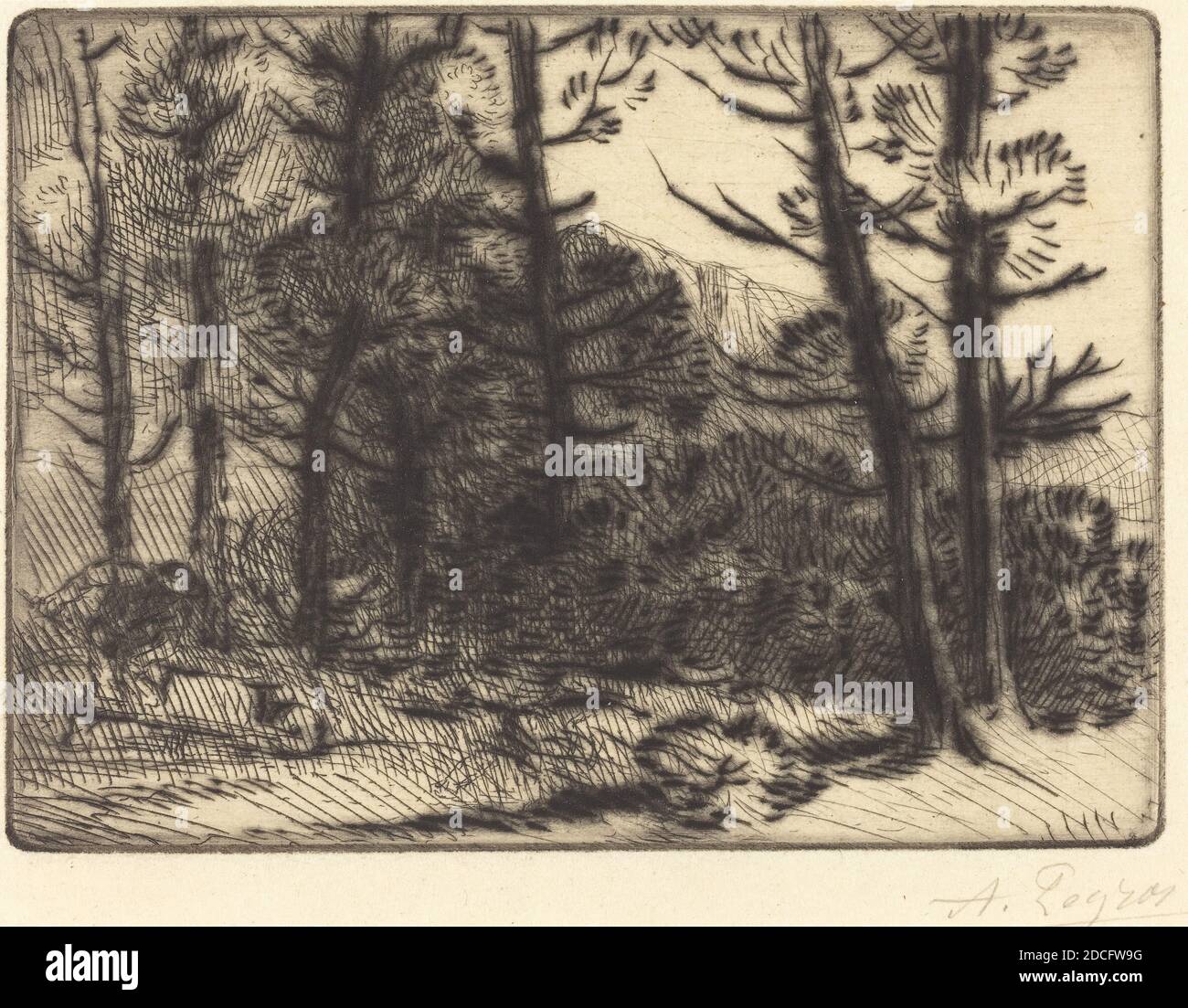 Alphonse Legros, (artist), French, 1837 - 1911, Woods in Winter Sun, 2nd plate (Soleil d'hiver dans les bois), drypoint and etching Stock Photo