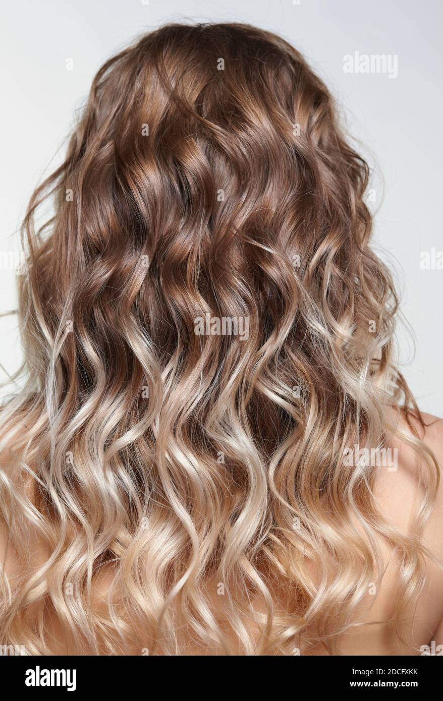 Woman from backside on gray background. Female with curly hair. Stock Photo