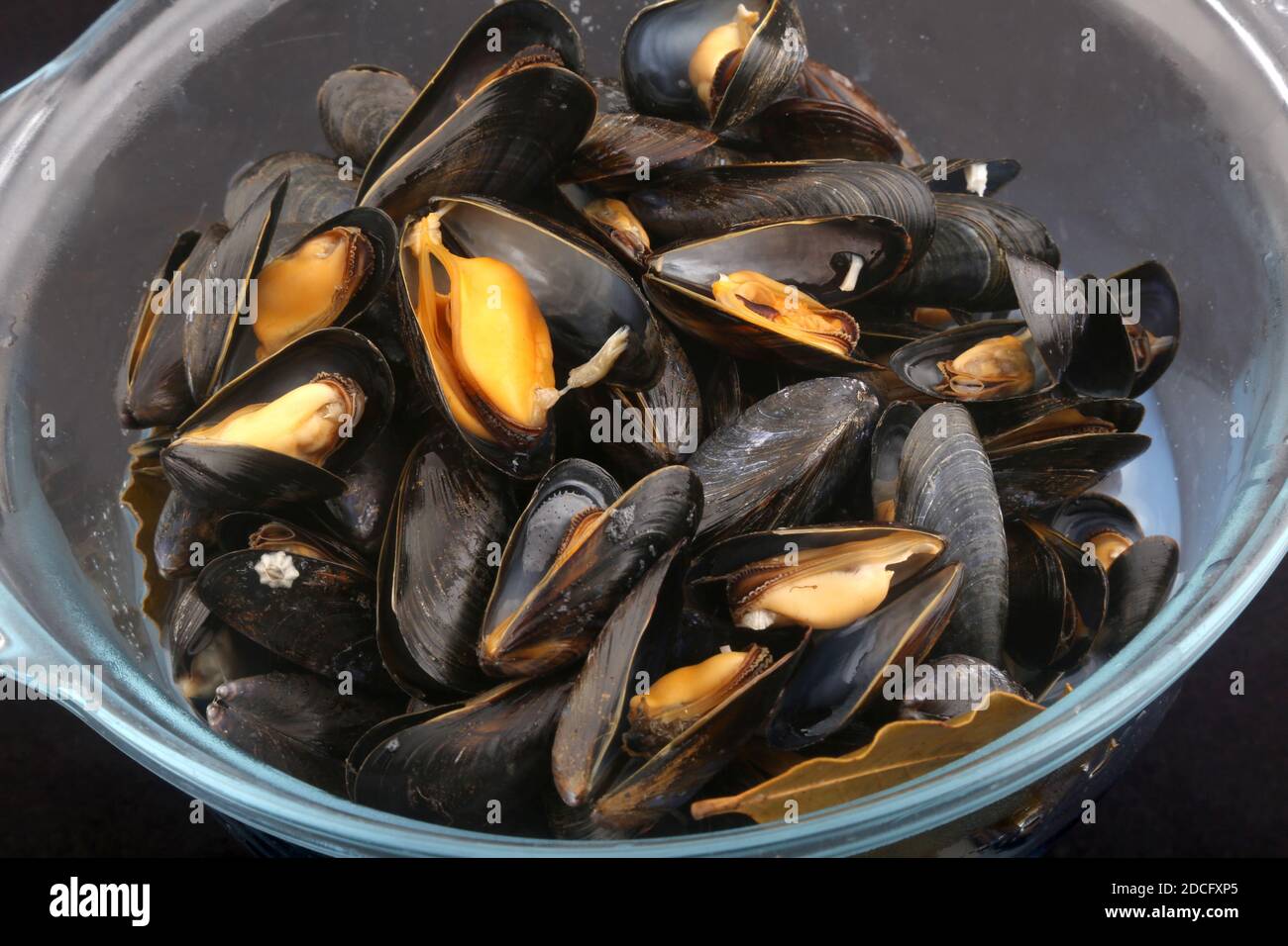 cooked mussels boiled as seafood aperitif Stock Photo Alamy