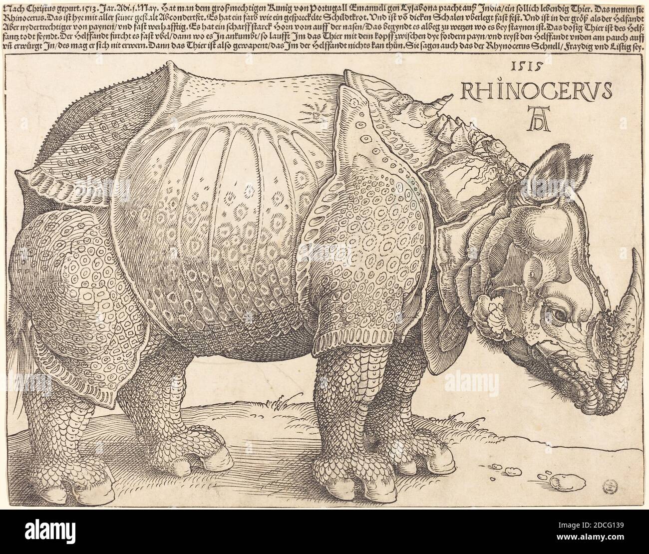 Albrecht Dürer, (artist), German, 1471 - 1528, The Rhinoceros, 1515, woodcut on laid paper, sheet (trimmed to image): 23.5 x 29.8 cm (9 1/4 x 11 3/4 in Stock Photo