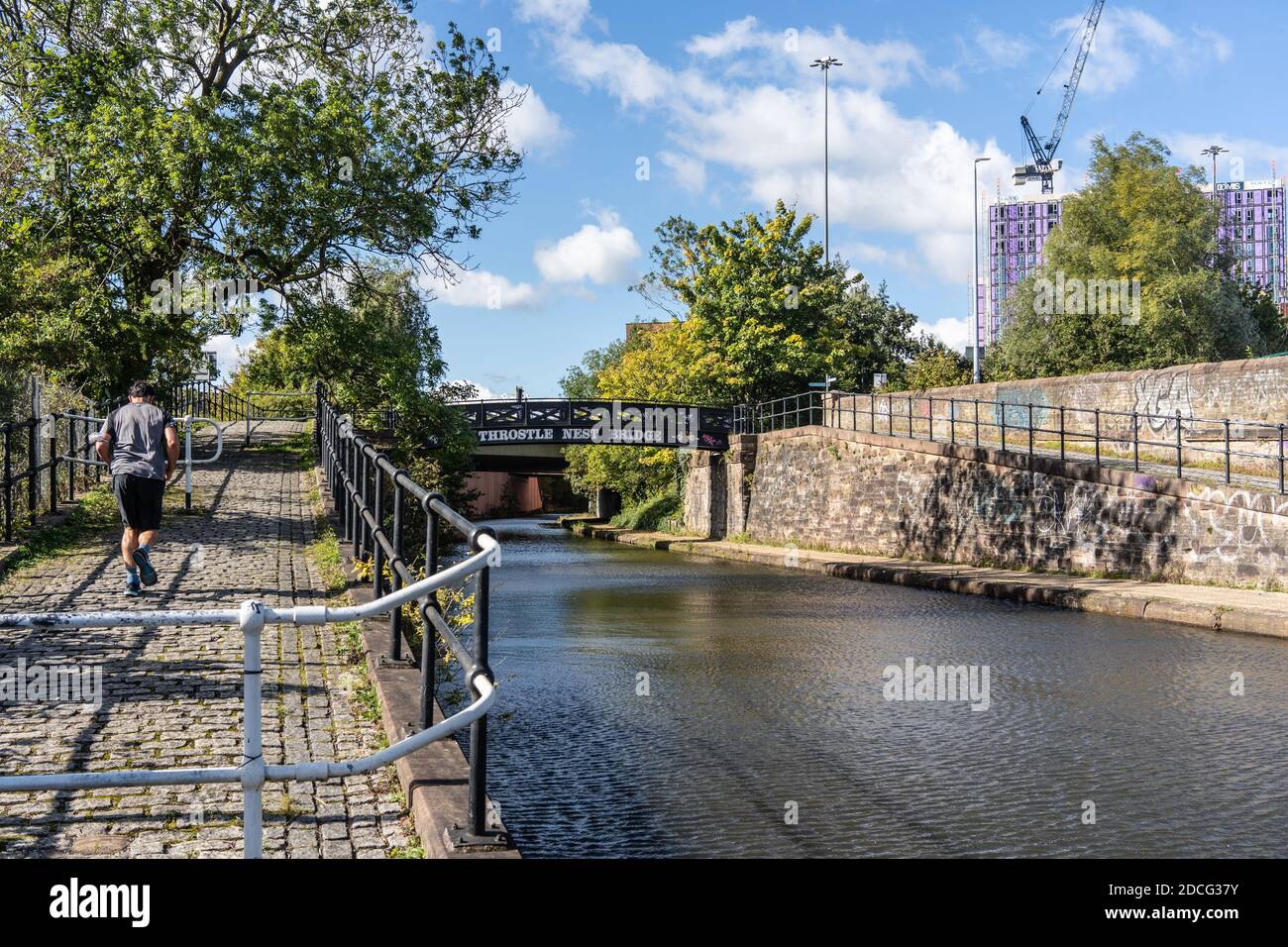 Throstle nest hires stock photography and images Alamy