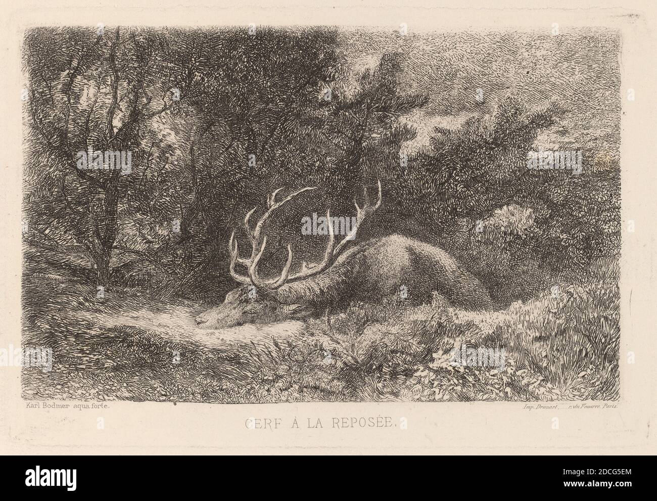 Reposee Karl Bodmer, (artist), Swiss, 1809 - 1893, Cerf a la Reposee, etching ...
