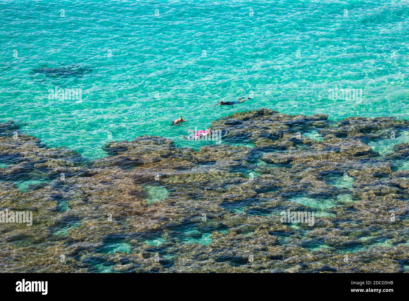 Snorkeling at edge of coral reef in Hanauma Bay, Oahu, Hawaii Stock