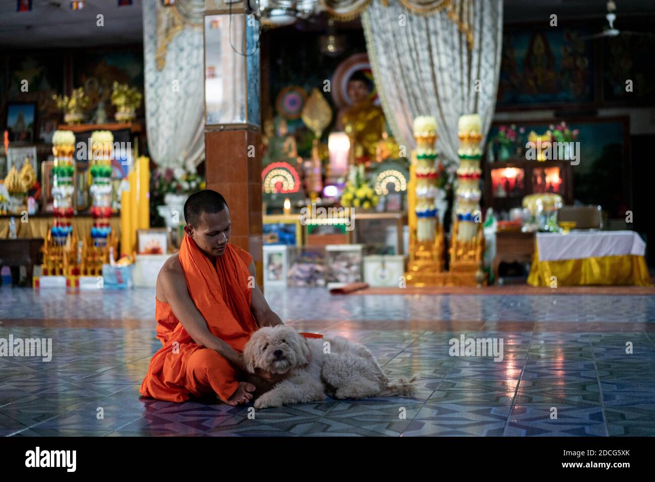 Svay Rieng, Cambodia. 18th July, 2020. A monk pets his dog at a pagoda.An estimated 800 people a year die of rabies in Cambodia, one of the highest deaths rates per capita in the world. At the root of Cambodia's endemic are unvaccinated dogs, in a country with one of the highest dog to human ratios in the world. Efforts at achieving herd immunity are significantly disrupted by the 3 million dogs per year slaughtered for Cambodia's dog meat trade. Some experts have warned that unless the dog meat trade is addressed, rabies will still remain prevalent. (Credit Image: © Andy Ball/SOPA Images v Stock Photo