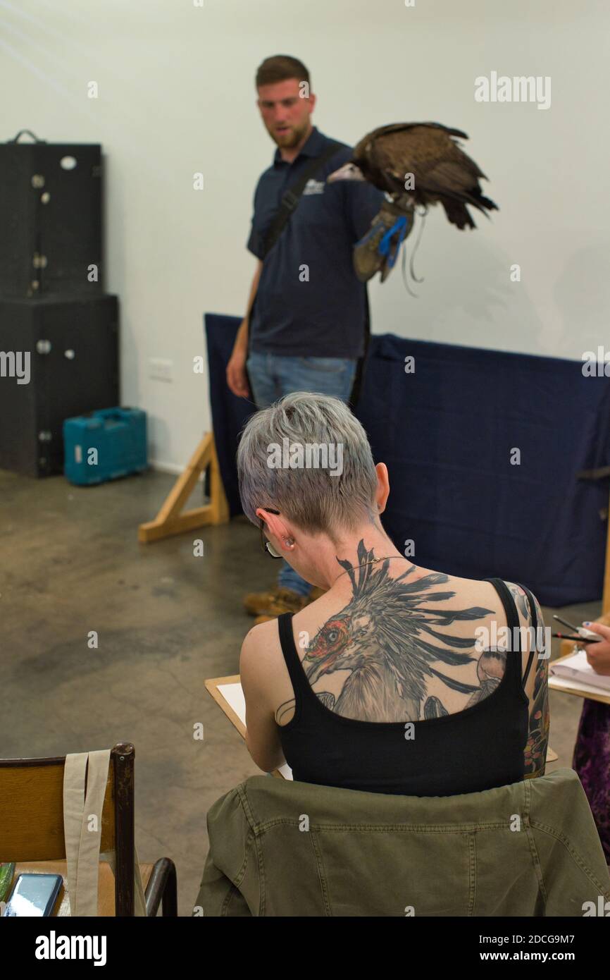 GREAT BRITAIN / England / London / Wild Life Drawing /ife drawing