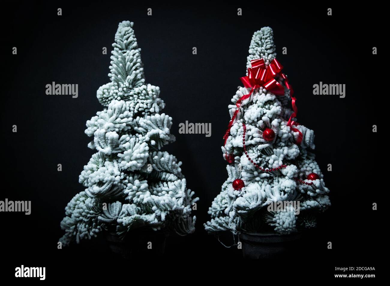 Decorated snow Christmas trees isolated on black background Stock Photo ...