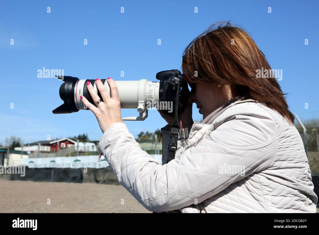 Middle aged white caucasian woman in cream jacket and long hair using a canon camera with a long lens at a motor racing circuit Stock Photo