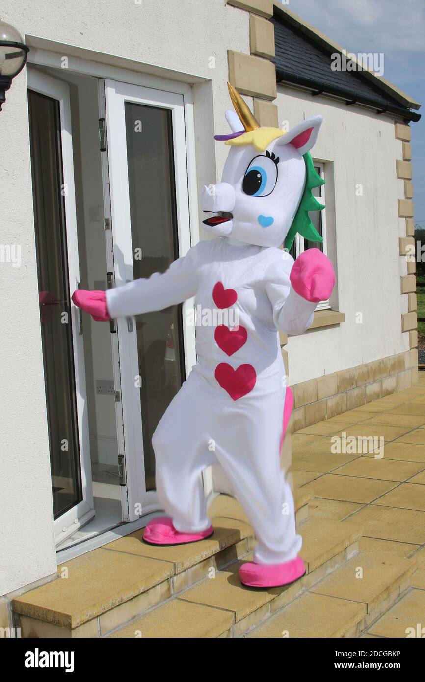 Costume vestito fantasia carattere, una bambina incontra un unicorno Foto  stock - Alamy