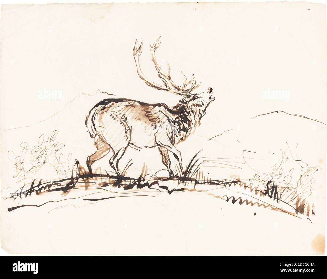 Sir Edwin Landseer, (artist), British, 1802 - 1873, A Bellowing Stag, probably 1840/1850, pen and brown ink over graphite on wove paper, overall: 19 x 24.6 cm (7 1/2 x 9 11/16 in Stock Photo