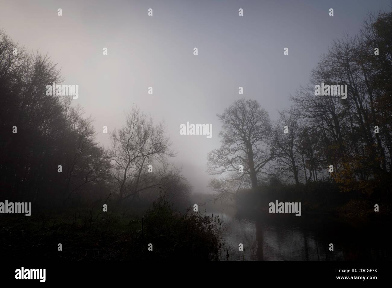 Pollok Park. Glasgow in the fog Stock Photo