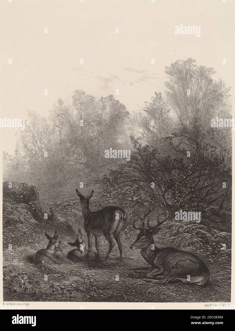 Karl Bodmer, (artist), Swiss, 1809 - 1893, Biches au repos, lithograph Stock Photo
