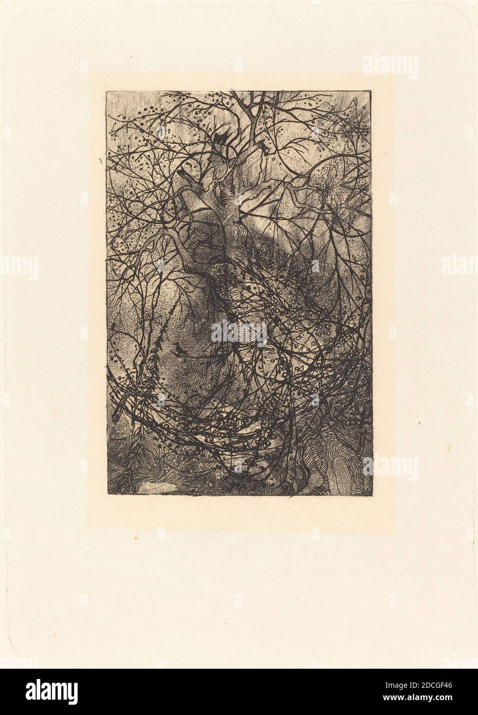 Rodolphe Bresdin, (artist), French, 1822 1885, Branches, etching