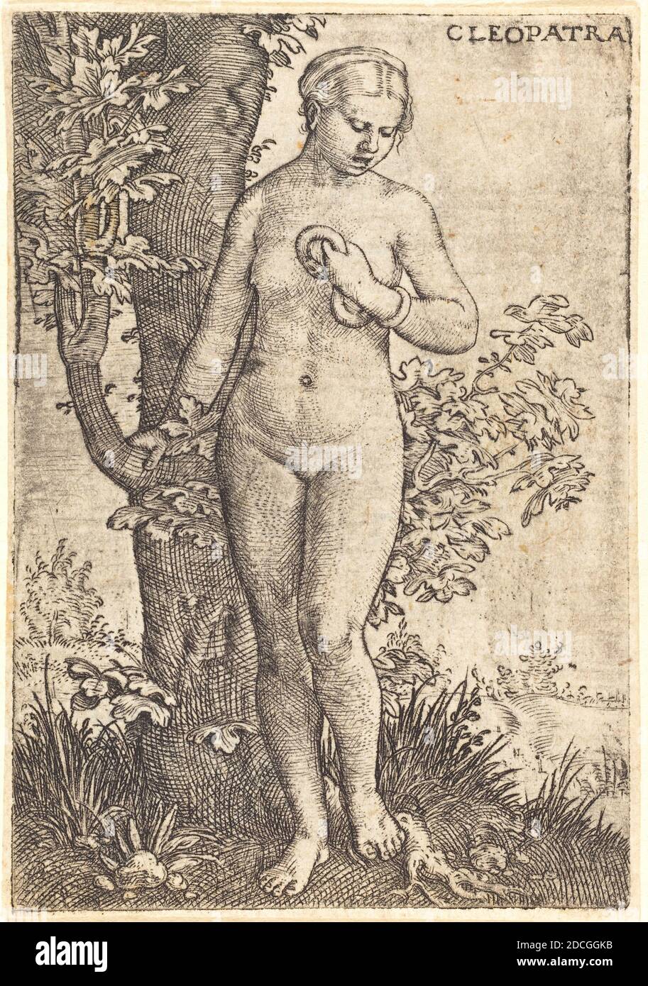 Barthel Beham, (artist), German, 1502 - 1540, Cleopatra, 1524, engraving Stock Photo
