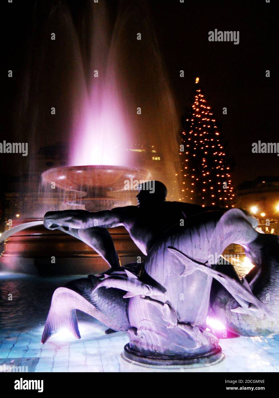 Christmas night-scene, Trafalgar Square The Jellicoe Memorial Fountain is in the foreground, Trafalgar Square Christmas tree, gifted by Norway, behind Stock Photo