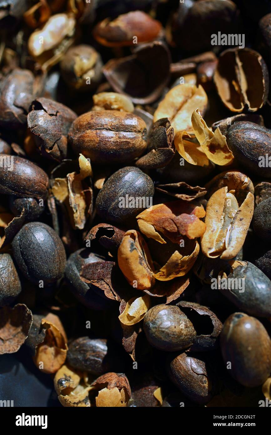 Raw coffee beans before roasting process, close up Stock Photo Alamy