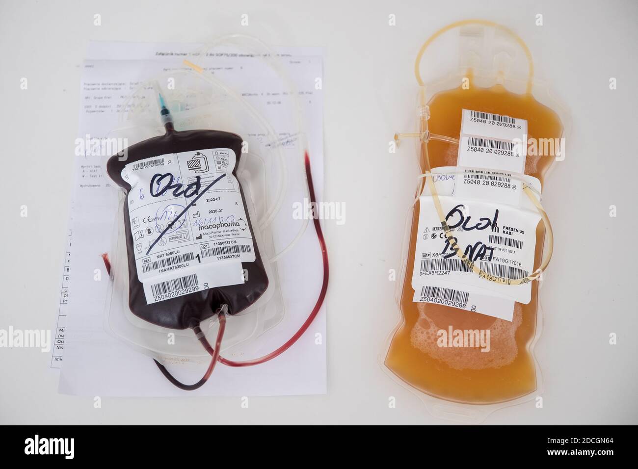 Blood Plasma bags from COVID19 convalescents at Regional Blood