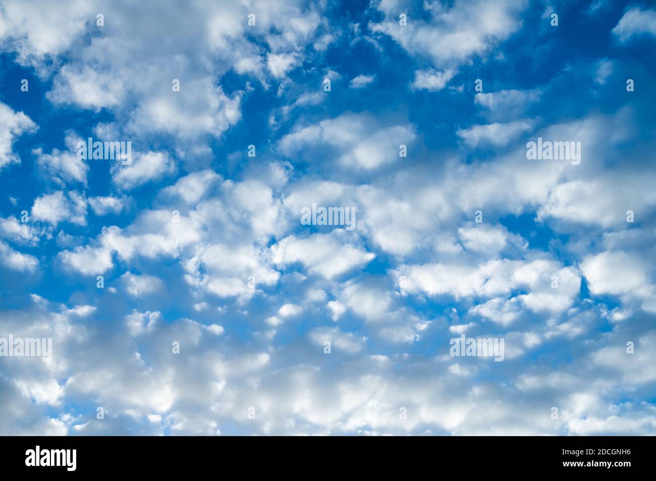 White fluffy patchy clouds, probably Altocumulus clouds in the middle atmosphere, against blue sky in Autumn, on a dry sunny day. Stock Photo