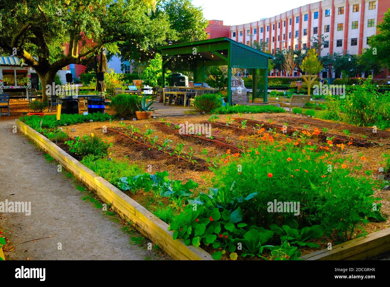 Urban Gardens Stock Photo