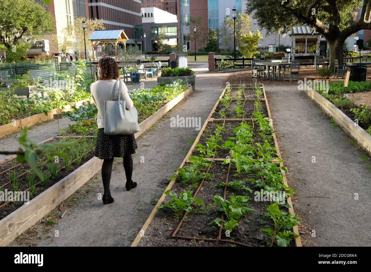 Urban Gardens Stock Photo