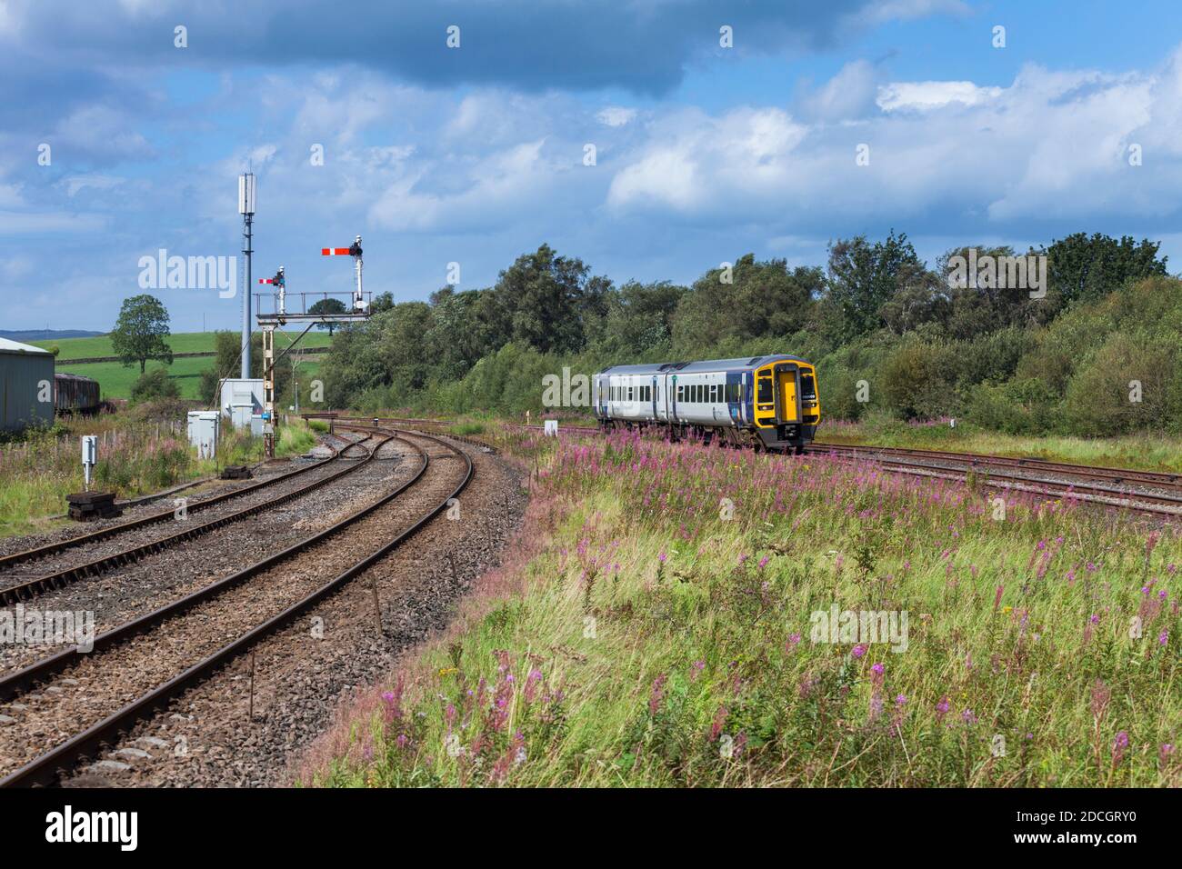 Northern Rail class 158 sprinter train 158909 arriving at  Hellifield, Yorkshire with rosebay willowherb and a large bracket semaphore signal Stock Photo