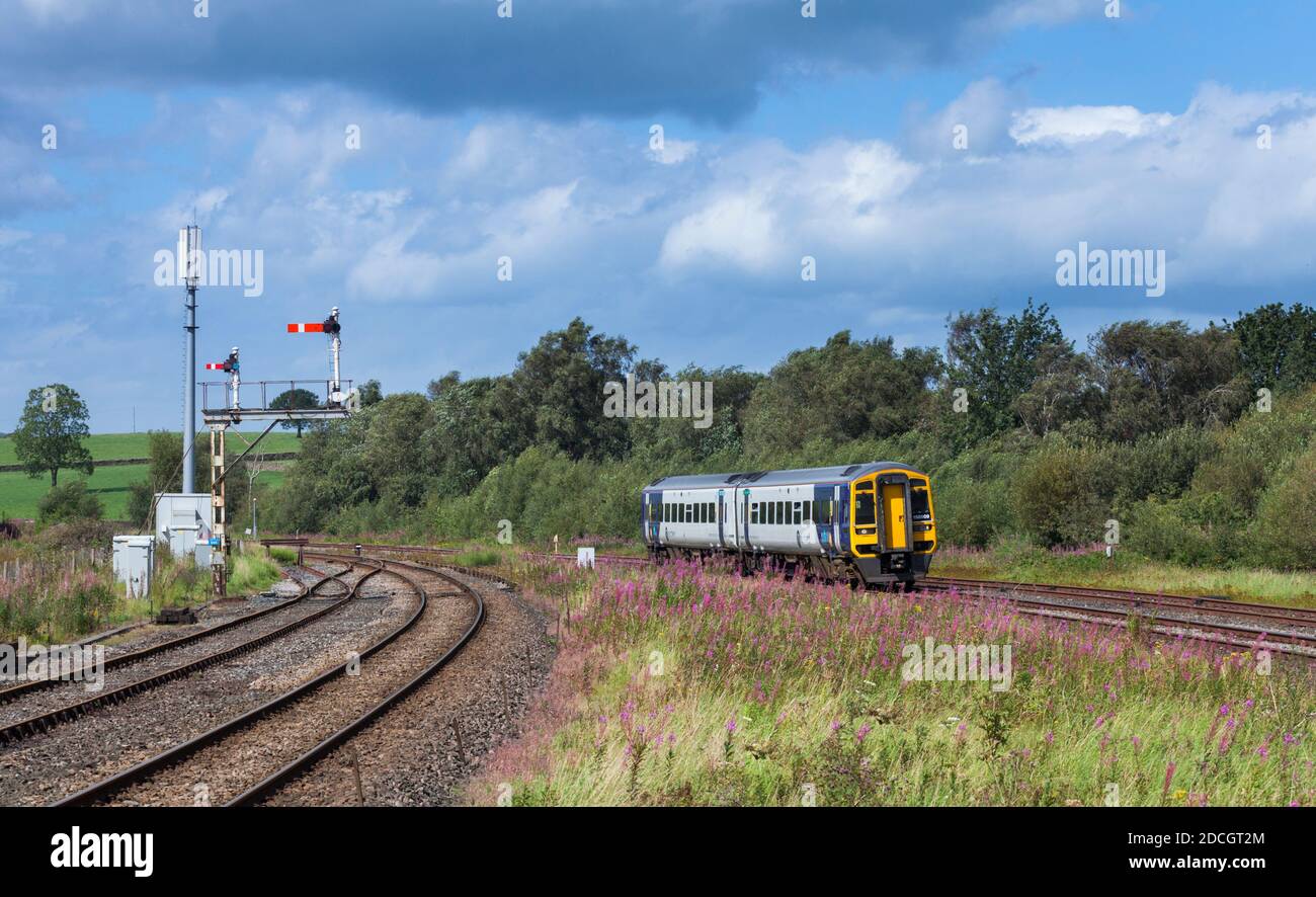 Northern Rail class 158 sprinter train 158909 arriving at  Hellifield, Yorkshire with rosebay willowherb and a large bracket semaphore signal Stock Photo