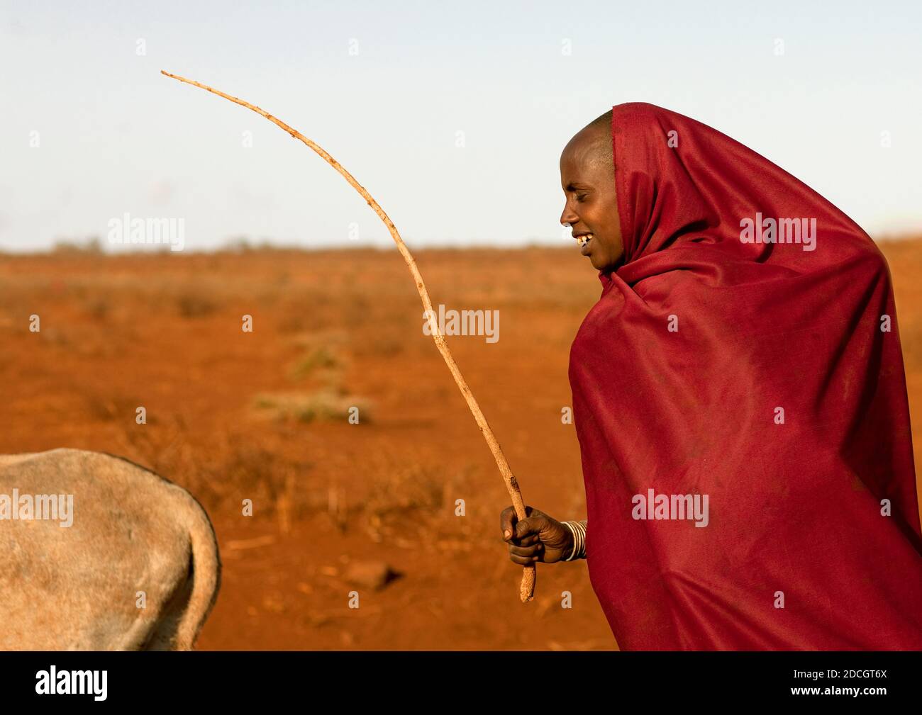 Rendille tribe with animal hi-res stock photography and images - Alamy