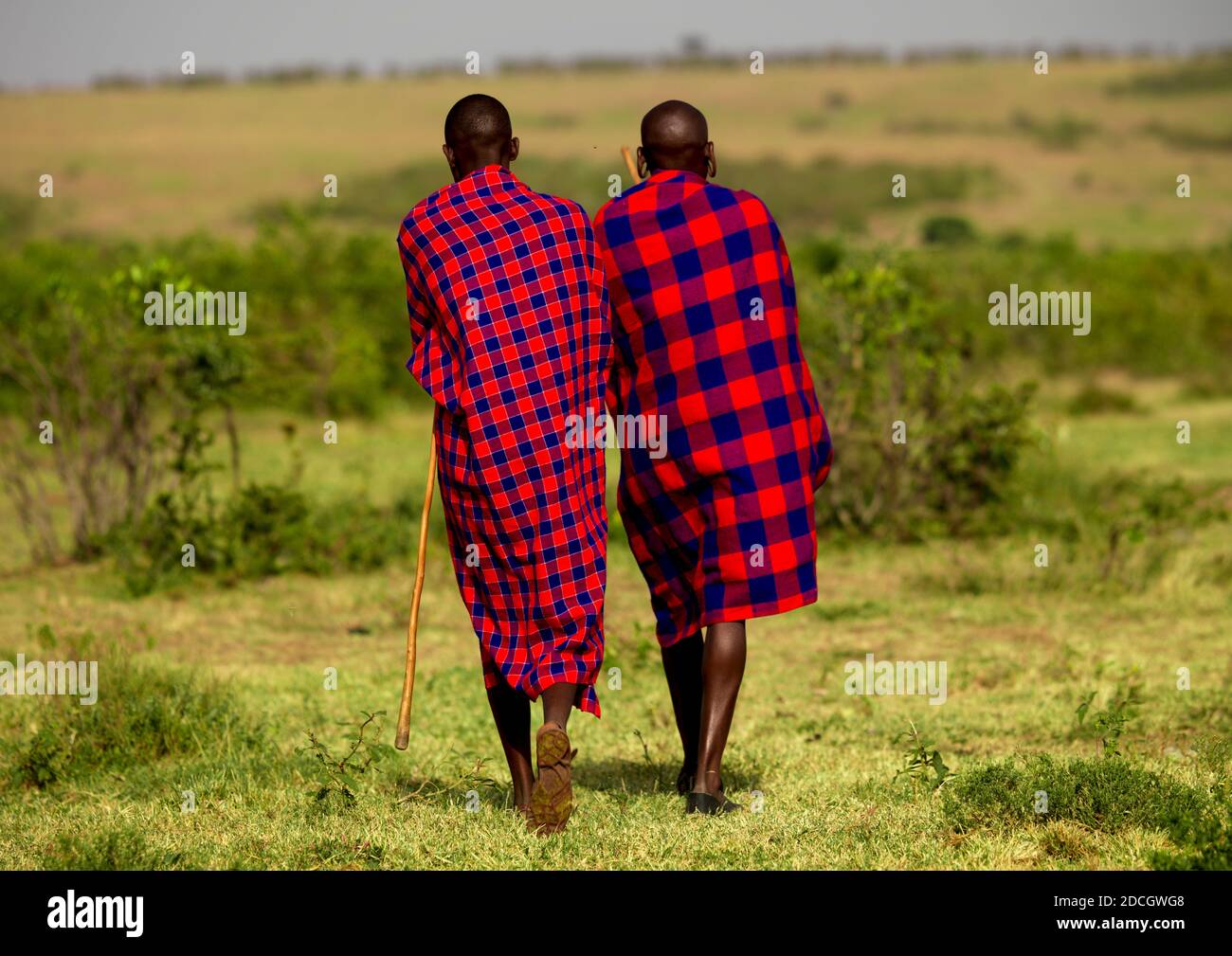 Rear view of Maasai tribe men, Rift Valley Province, Maasai Mara, Kenya Stock Photo