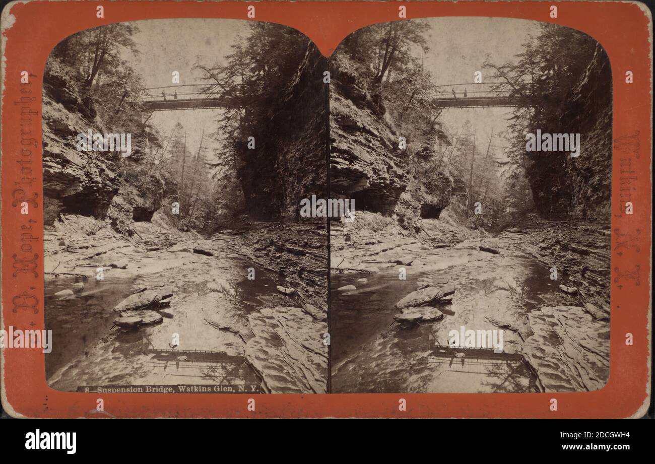 Suspension bridge, Watkins Glen, N.Y., Hope, J. D. (18461929), New