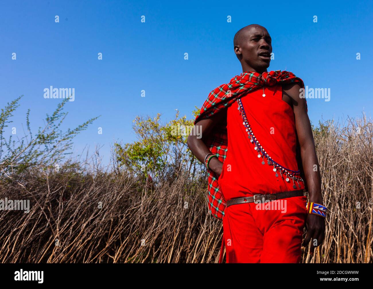 Portrait of a Maasai tribe man looking away, Rift Valley Province, Maasai Mara, Kenya Stock Photo