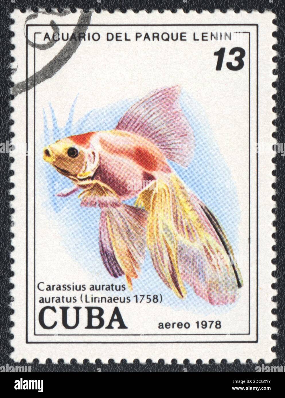 A stamp printed in Cuba shows a Goldfish (Carassius auratus auratus),  series 'Aquarium of Lenin Park', circa 1978 Stock Photo